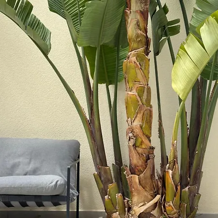 Fior Di Lino 3* Сан-Вито-Ло-Капо