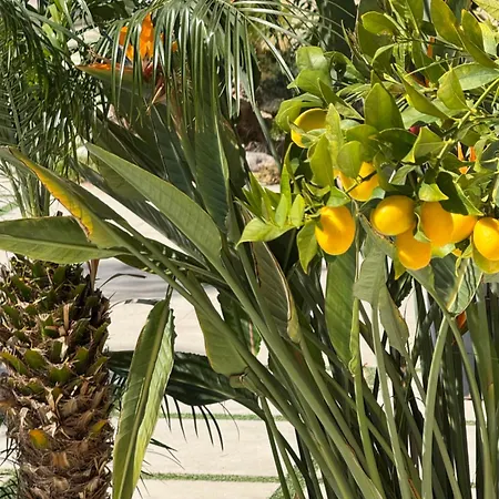 Гостевой дом Fior Di Lino 3*